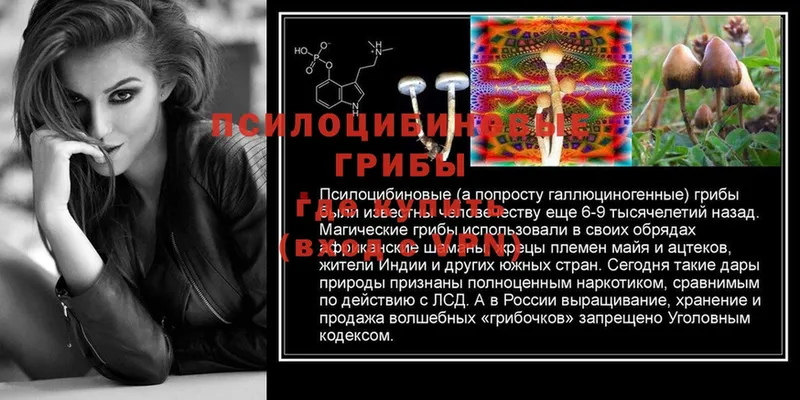 Галлюциногенные грибы Cubensis  Усолье-Сибирское 